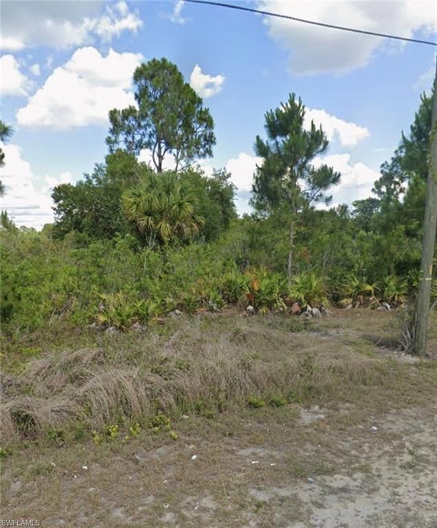 169 Thornton AVE S, LEHIGH ACRES, FL 33974 — exterior