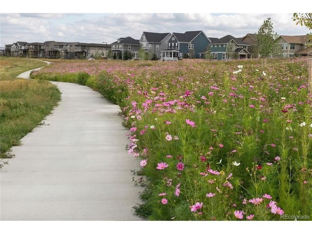 9154 E 37th Ave, Denver, CO 80238