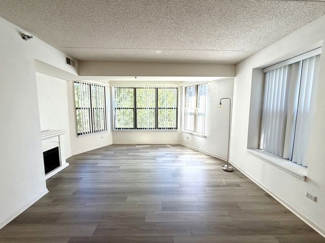 1250 S Indiana Avenue 308, Chicago, IL 60605
