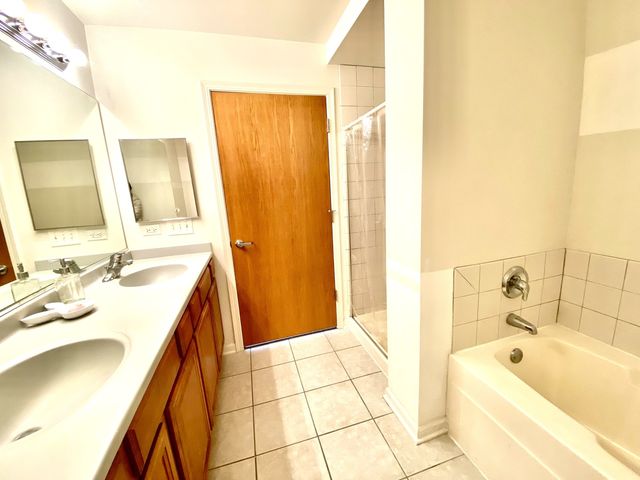 1250 S Indiana Avenue 308, Chicago, IL 60605