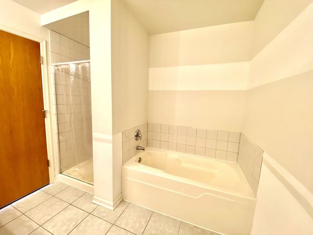 1250 S Indiana Avenue 308, Chicago, IL 60605