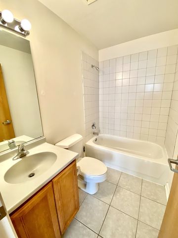 1250 S Indiana Avenue 308, Chicago, IL 60605