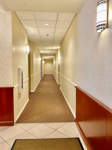 1250 S Indiana Avenue 308, Chicago, IL 60605