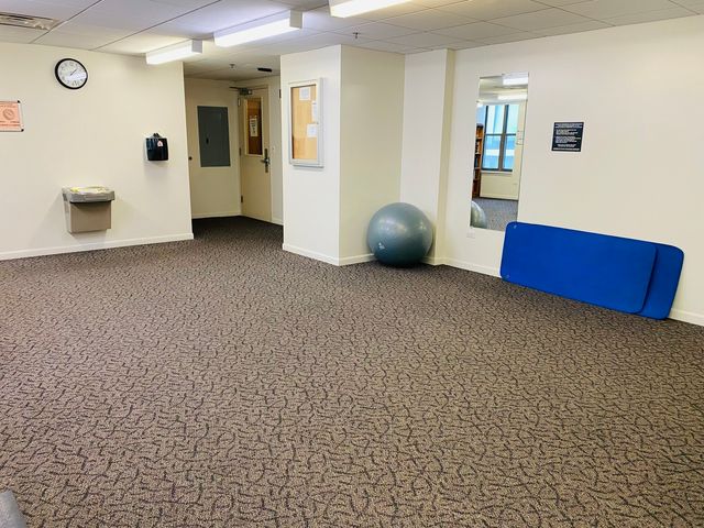 1250 S Indiana Avenue 308, Chicago, IL 60605