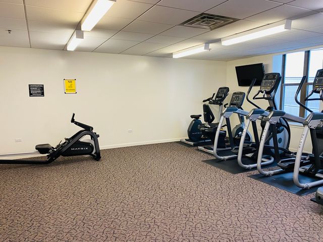 1250 S Indiana Avenue 308, Chicago, IL 60605
