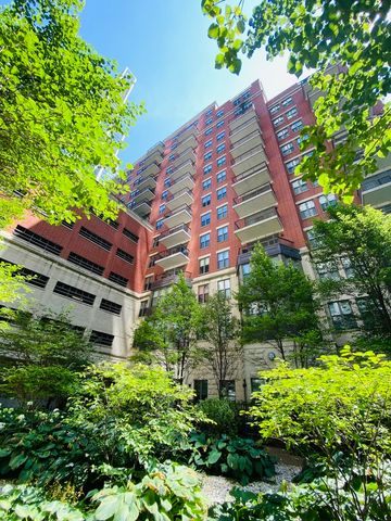 1250 S Indiana Avenue 308, Chicago, IL 60605