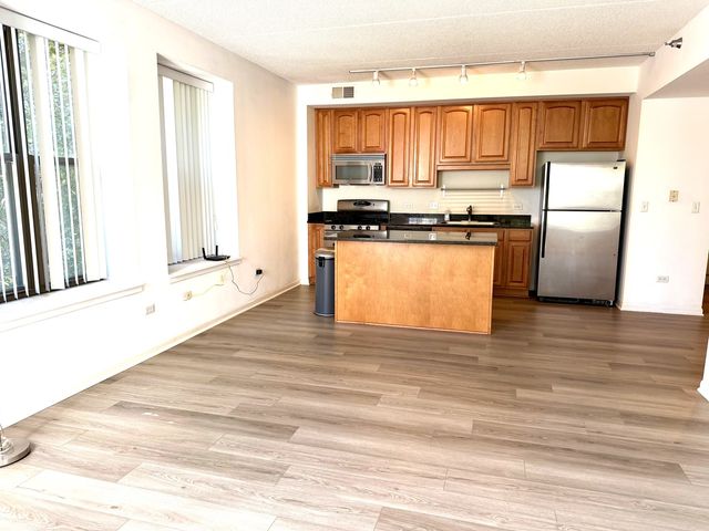 1250 S Indiana Avenue 308, Chicago, IL 60605