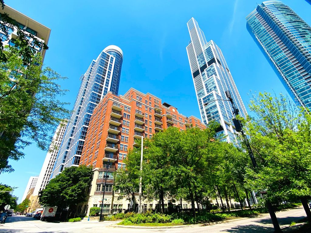 1250 S Indiana Avenue 308, Chicago, IL 60605