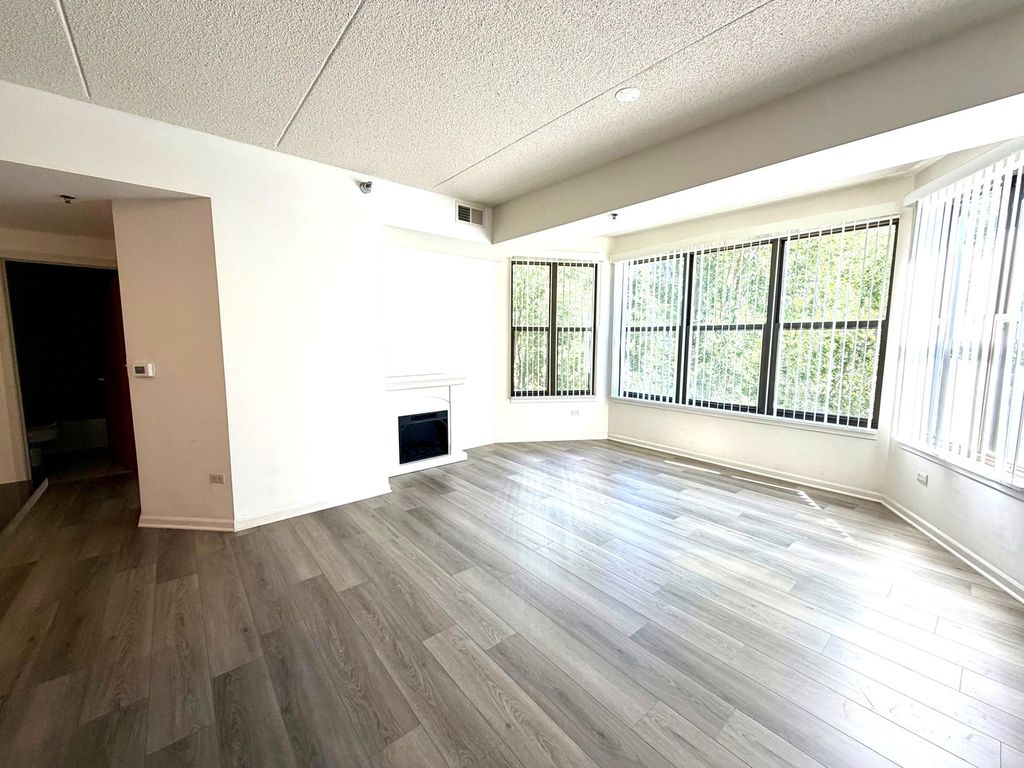 1250 S Indiana Avenue 308, Chicago, IL 60605 — photo 3