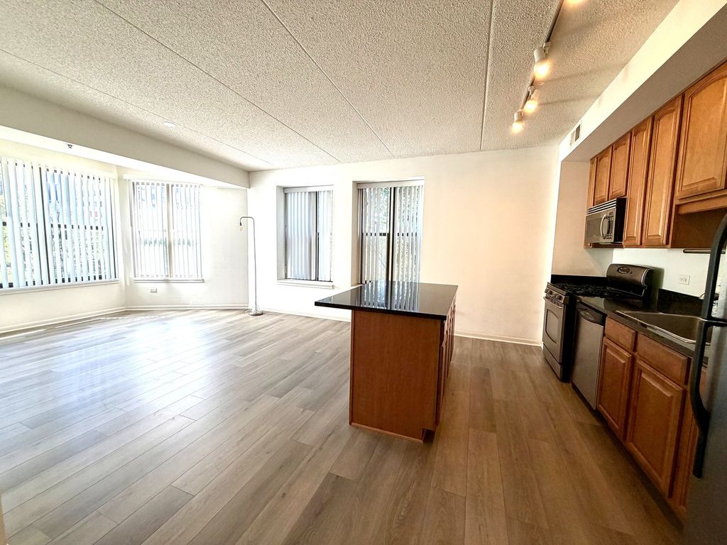 1250 S Indiana Avenue 308, Chicago, IL 60605 — photo 5