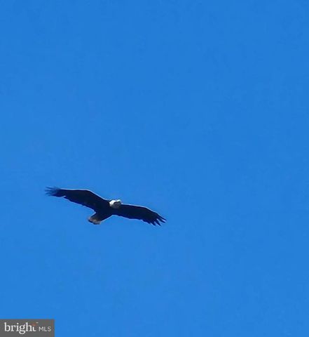 2707 MARSH ELDER DR, Cambridge, MD 21613