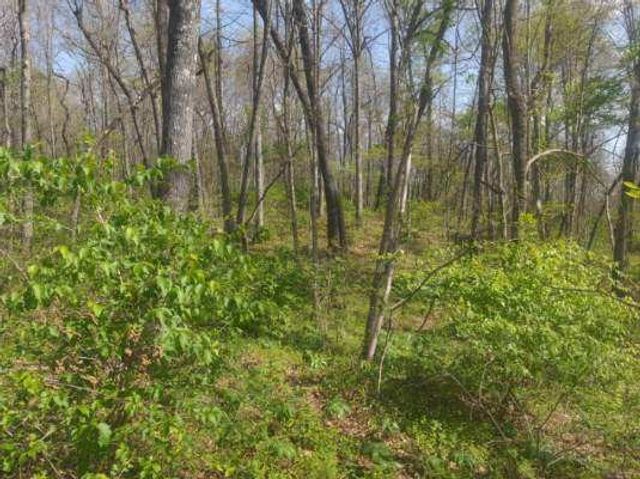 Prairie View Drive, Harrison, AR 72601