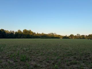 Prairie View Drive, Harrison, AR 72601