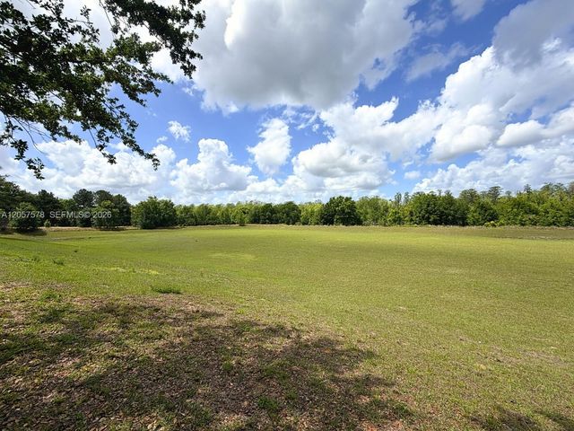 233 Aldridge Ln, Davenport, FL 33897