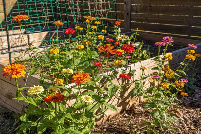 812 Sherbrook Drive, Richardson, TX 75080