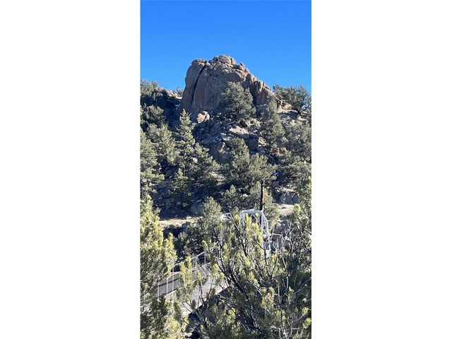 10795 County Road 197a 91, Nathrop, CO 81236