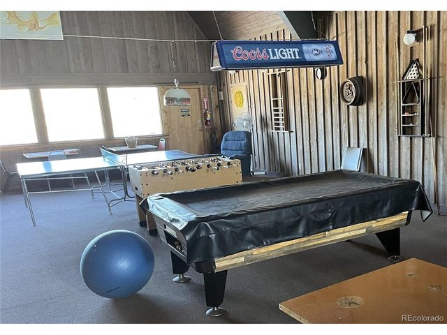 10795 County Road 197a 91, Nathrop, CO 81236