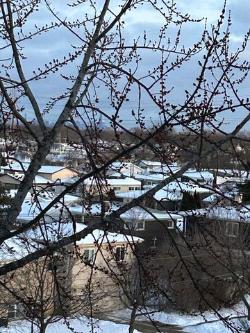 9500 N Washington Street 505, Niles, IL 60714