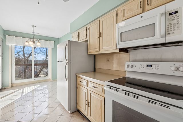 9500 N Washington Street 505, Niles, IL 60714