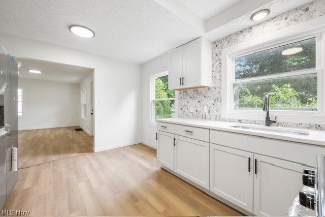 1146 Packard Drive, Akron, OH 44320