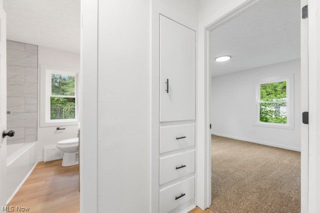 1146 Packard Drive, Akron, OH 44320