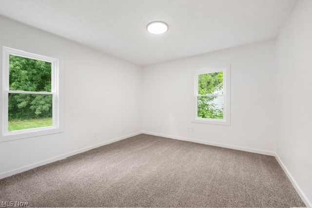 1146 Packard Drive, Akron, OH 44320