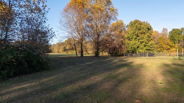 6 Narya, Carbondale, IL 62902