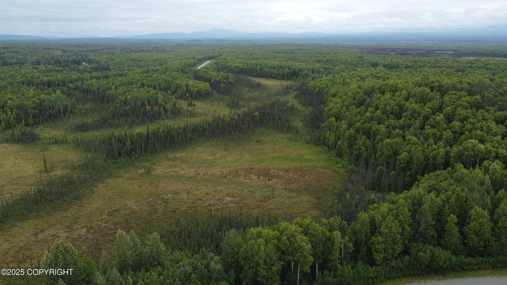 Tr A E Mount Snowshoe Drive, Talkeetna, AK 99676