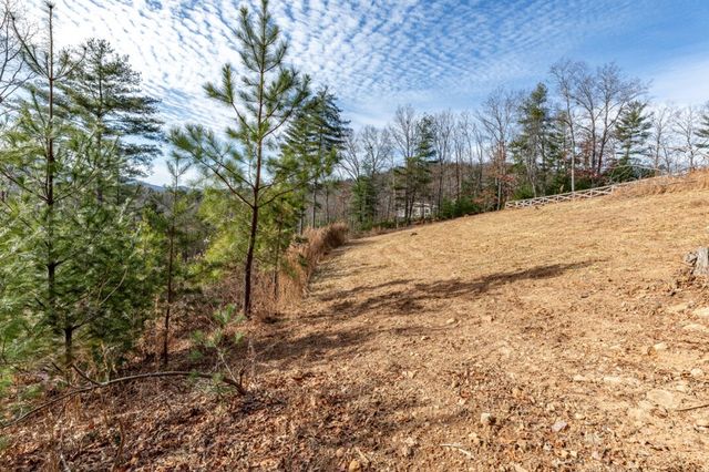 0.83 AC Atkins Trail, Blairsville, GA 30512