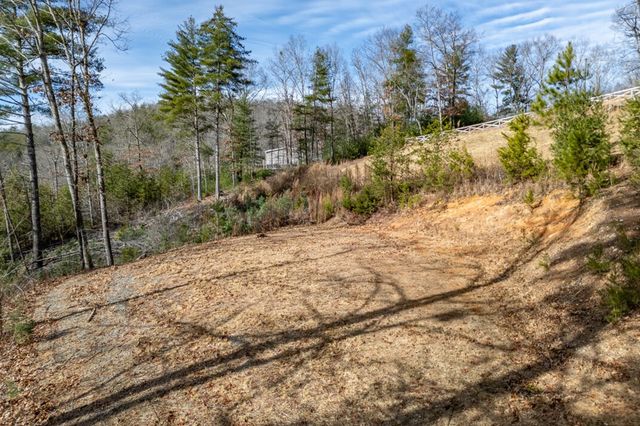 0.83 AC Atkins Trail, Blairsville, GA 30512