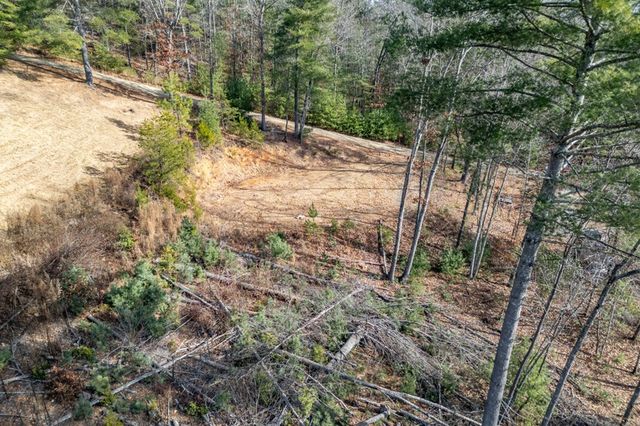 0.83 AC Atkins Trail, Blairsville, GA 30512