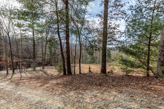 0.83 AC Atkins Trail, Blairsville, GA 30512