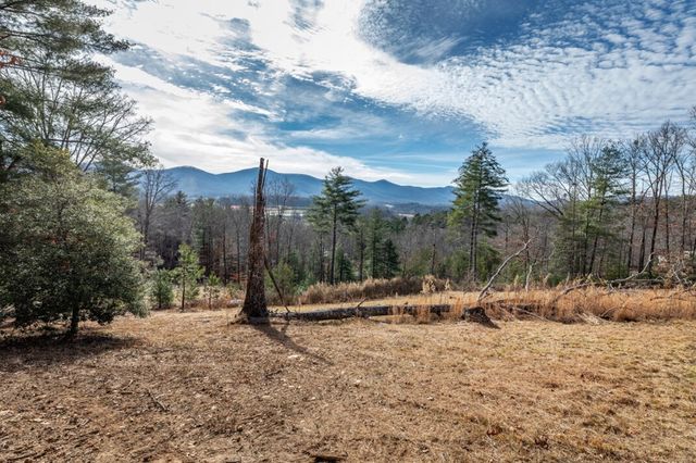0.83 AC Atkins Trail, Blairsville, GA 30512
