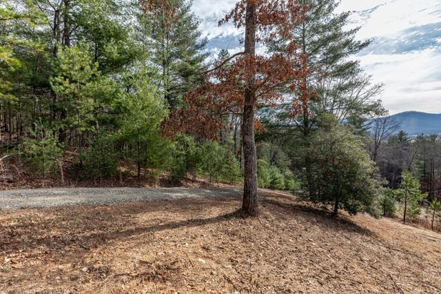 0.83 AC Atkins Trail, Blairsville, GA 30512