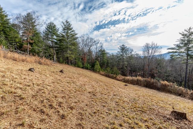 0.83 AC Atkins Trail, Blairsville, GA 30512