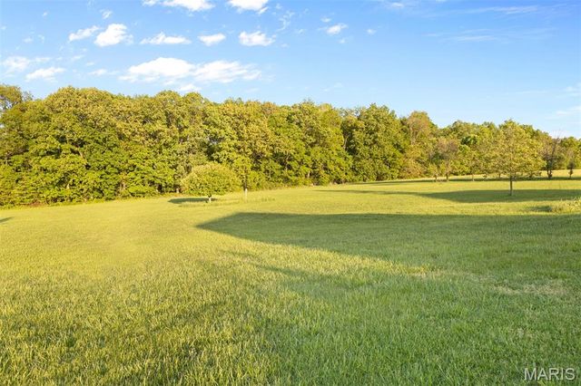 1036 Ridgewood Farms Road, Farmington, MO 63640