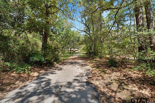 9096 Cox Rd, Flint, TX 75762