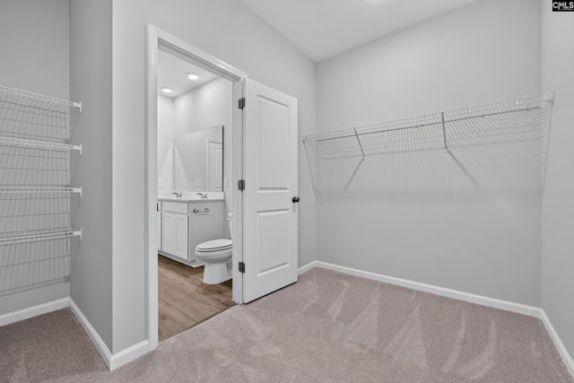 541 Carters Grove Lane, Blythewood, SC 29016