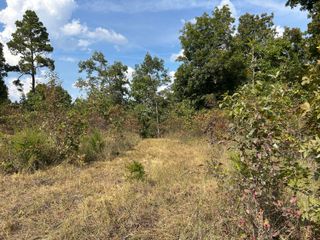 Tbd 7885 County Road 306 Pvt Drive-B, Ava, MO 65608