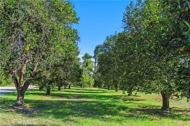 1195 Pamplona, Riverside, CA 92508