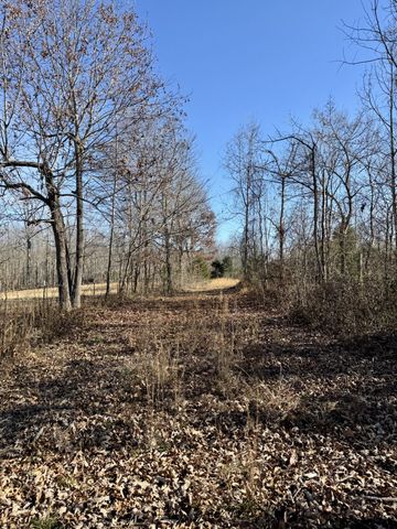 0 Lewisburg Hwy, Pulaski, TN 38478