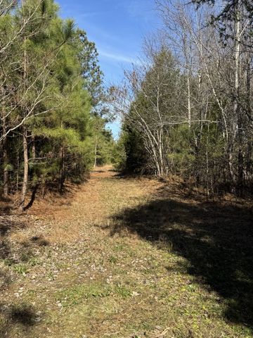 0 Lewisburg Hwy, Pulaski, TN 38478