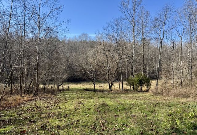 0 Lewisburg Hwy, Pulaski, TN 38478