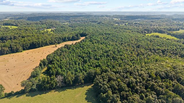 0 Lewisburg Hwy, Pulaski, TN 38478