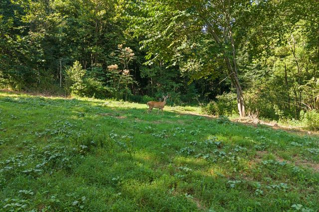 0 Lewisburg Hwy, Pulaski, TN 38478