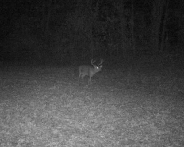 0 Lewisburg Hwy, Pulaski, TN 38478