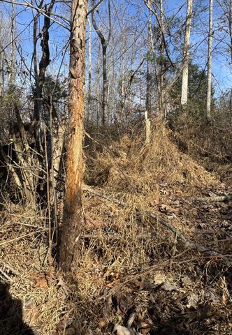 0 Lewisburg Hwy, Pulaski, TN 38478