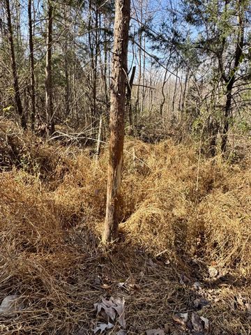 0 Lewisburg Hwy, Pulaski, TN 38478