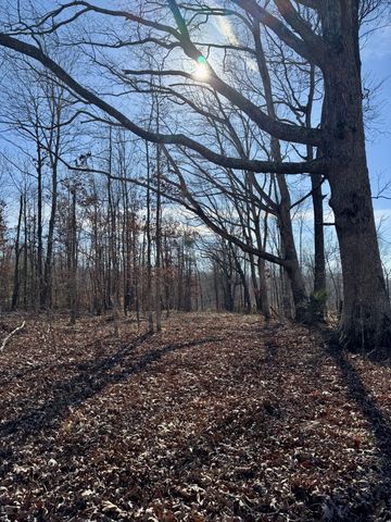 0 Lewisburg Hwy, Pulaski, TN 38478