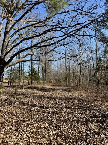 0 Lewisburg Hwy, Pulaski, TN 38478